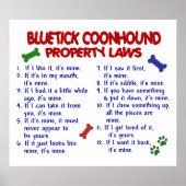 BLUETICK COONHOUND PL2 POSTER (Voorkant)