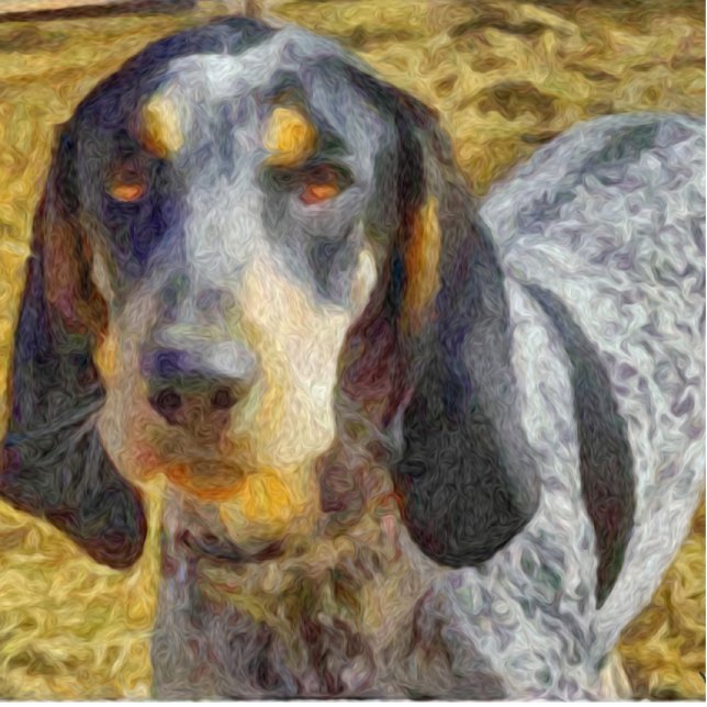 Bluetick Coonhound Staand Fotobeeldje (Voorkant)