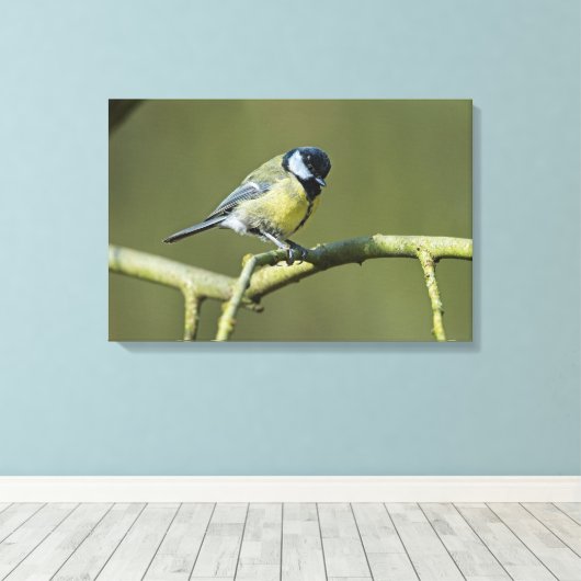 Bluetit Canvas Afdruk (Insitu (Houten vloer))