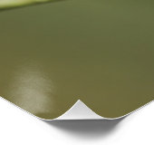 Bluetit zit in een boom perfect poster (Hoek)