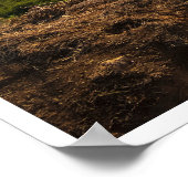 Bluff Cove Light Poster (Hoek)