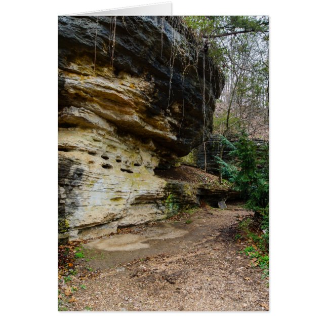 Bluff Lined Walkway (Voorkant)
