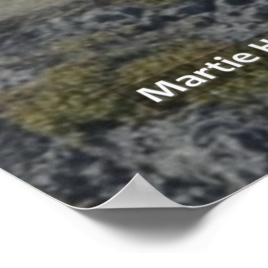 Bluffes à Half Moon Bay II - Poster (Coin)