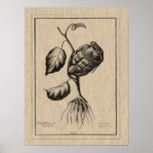 Blum de Explosive Poster (Voorkant)