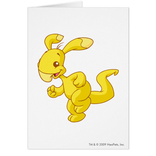 Blumaroo Gold (Voorkant)