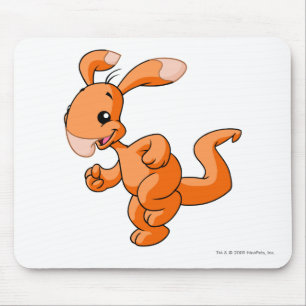 Blumaroo Oranje Muismat
