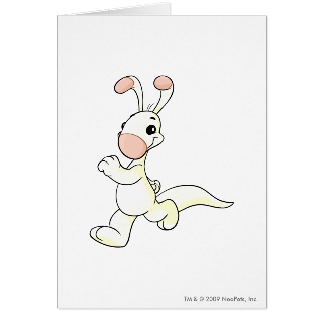 Blumaroo White (Voorkant)