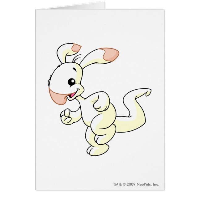 Blumaroo White (Voorkant)