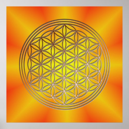 Blume des Lebens Motiv 5 Poster (Voorkant)