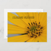 Blumen Gruß Briefkaart (Voorkant / Achterkant)