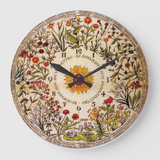 Blumenuhr Flower Clock Grote Klok (Voorkant)