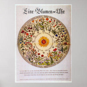 Blumenuhr Flower Clock Poster