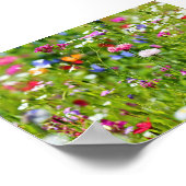 Blumenwiese Poster (Hoek)