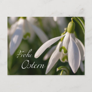 Blumige Ostergrüße aus dem Briefkasten Briefkaart