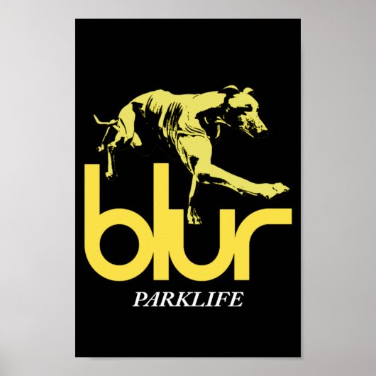 Blur Park Life Poster (Voorkant)