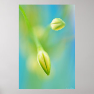 Blurred Curiosity Poster