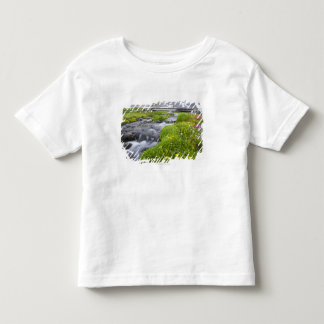 Blurry River met de geel-witte roze wilde bloemen Kinder Shirts
