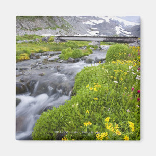 Blurry River met de geel-witte roze wilde bloemen Magneet