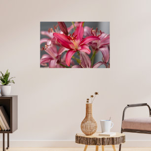 Blush Elegance: Roze Aziatische Lelie Bloem Foto Poster