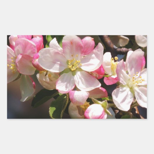 Blush Flower Easter Stickers (Voorkant)