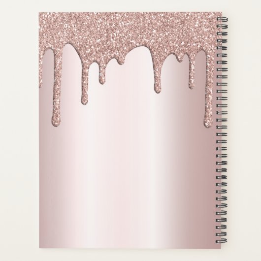 Blush Glitter Drip Metallic boss Lady Annual Planner (Achterkant)