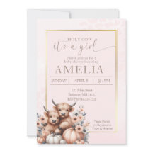 Blush Highland koe is een meisje pompoen