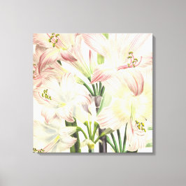 Blush Lilies Canvas Afdruk