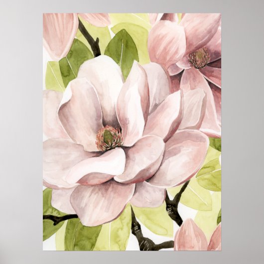 Blush Magnolia Flowers Poster (Voorkant)