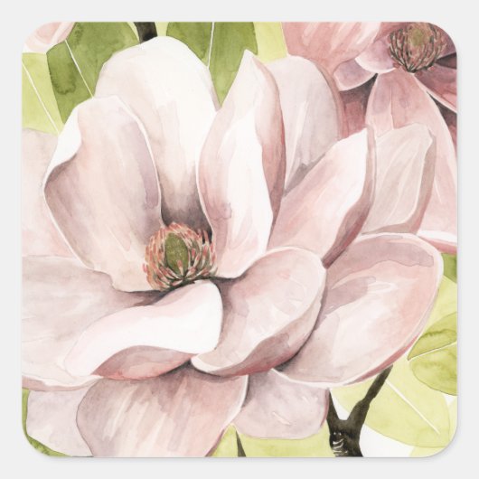 Blush Magnolia Flowers Vierkante Sticker (Voorkant)