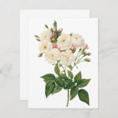 Blush Noisette Roos door Redoute Uitnodiging (Voorkant / Achterkant)