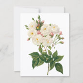 Blush Noisette Rose par Redoute Invitation (Devant)