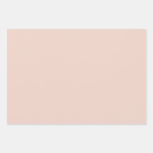 Blush Peach Chocolade Bruin Zebra Glitter Inpakpapier Vel (Voorkant 2)
