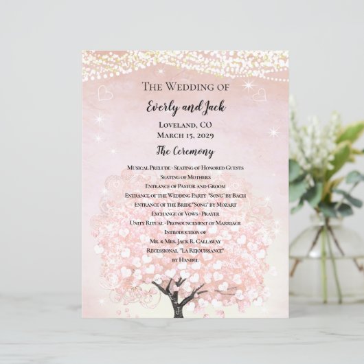 Blush Pink Fairytale Wedding Programme (Debout devant)