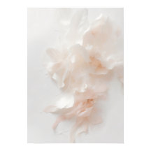 Blush Pink Floral Abstract Art Print | Soft Petal