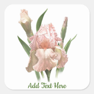 Blush Pink Iris Vierkante Sticker