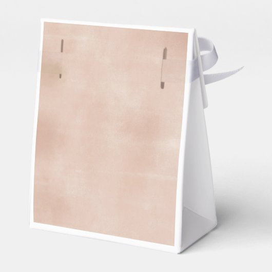 Blush Pink & Navy Pumpkin Gender Reopenbaarmakings Bedankdoosjes (Achterkant)