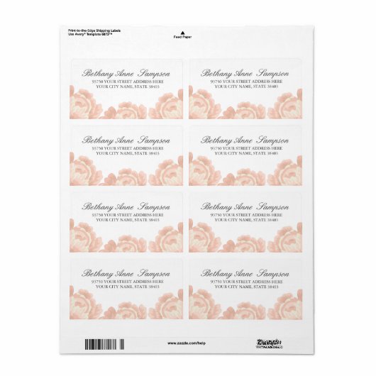 Blush Pink Roses Adresetiketten Etiket (Full Sheet)