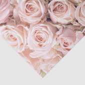 Blush Pink Roses Weefselpapier Tissuepapier (Detail)