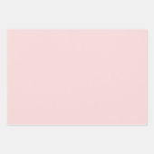 Blush Pink & Silver Ballerina Pattern Inpakpapier Vel (Voorkant 3)