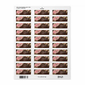 Blush pioenenverlichting rustieke schuur hout brui etiket (Full Sheet)