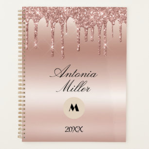 Blush Roos druppelen glitter metallic glans Planner