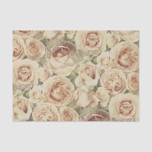  Blush Roses Floral Pattern Tissuepapier (Voorkant)