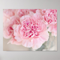 Blush roze anjers