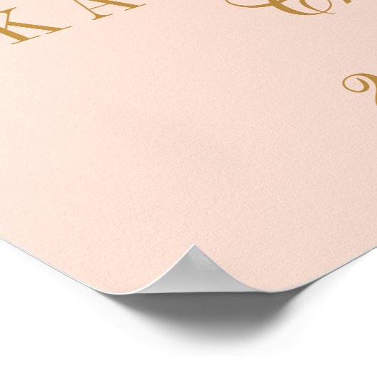 Blush roze & Glam Gold Confetti Weddenschap Welkom Poster (Hoek)