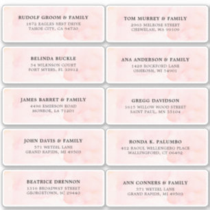 Blush Roze Ivoor waterverf Bruiloft Gast Adres Sticker