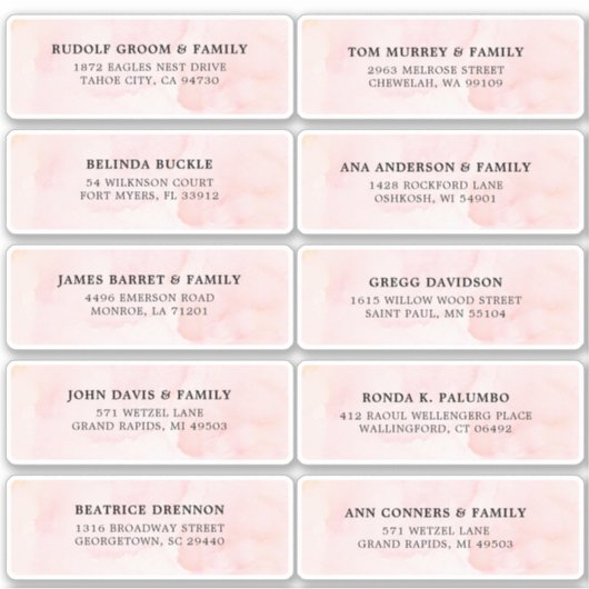 Blush Roze Ivoor waterverf Bruiloft Gast Adres Sticker (Voorkant)