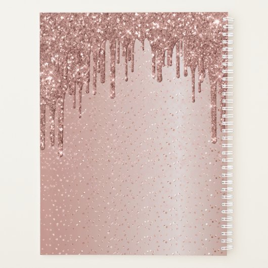 Blush roze lashes Appointment Book Planner (Achterkant)