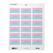 Blush Roze Mint Blue Elegant Trendy Address Etiket (Full Sheet)