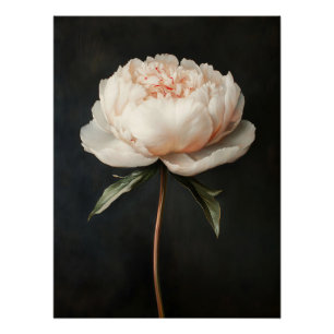 Blush roze pioen botanische schilderij perfect poster