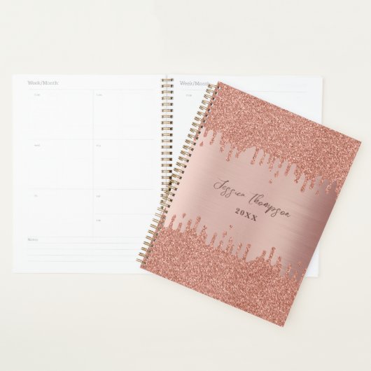 Blush roze roze gouden glitterschijven planner (Display)